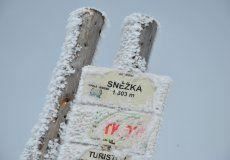 Škola v přírodě