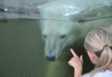 Zoo
