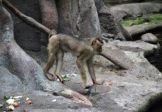 Zoo