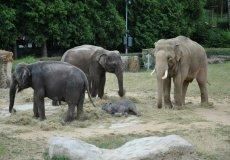 Zoo