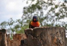 Zoo