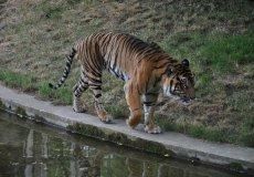 Zoo