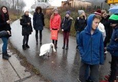 Společnost při čekání na přívoz