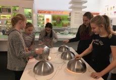 Muzeum hygieny