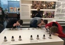 Muzeum hygieny