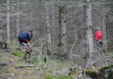 Škola v přírodě Škola v přírodě