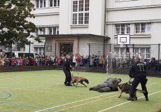 Výcvik policejních psů 