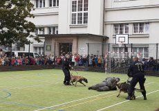 Výcvik policejních psů Výcvik policejních psů