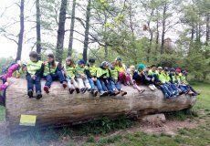 V Dendrologické zahradě V Dendrologické zahradě