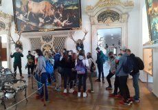 Muzeum lesnictví, myslivosti a rybářství Muzeum lesnictví, myslivosti a rybářství