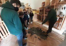 Muzeum lesnictví, myslivosti a rybářství Muzeum lesnictví, myslivosti a rybářství