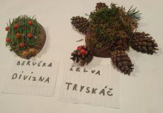 Eliška Chobotova 4.A.JPG Eliška Chobotova 4.A.JPG