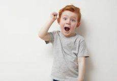 Ilustrativní obrázek aktuality Proč si vybrat právě naši mateřskou školu?