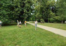 Piknik Stromovka Piknik Stromovka