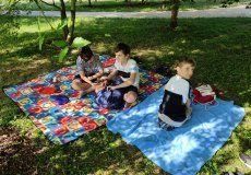 Piknik Stromovka Piknik Stromovka
