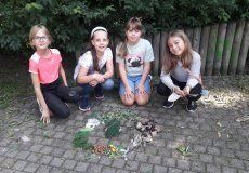 Tvoření z přírodnin Tvoření z přírodnin