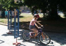 Den s IZS Den s IZS