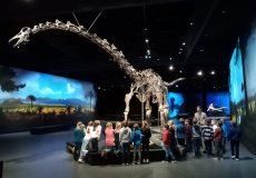 2.C Dinosauria Museum Prague