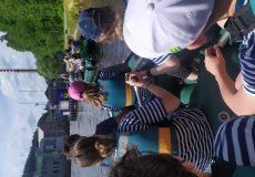 IMG_20220531_153139.jpg IMG_20220531_153139.jpg