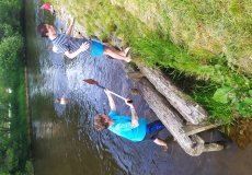 IMG_20220601_154333.jpg IMG_20220601_154333.jpg