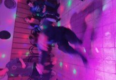 IMG_20220526_211423.jpg IMG_20220526_211423.jpg