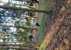 IMG_20220525_194353.jpg IMG_20220525_194353.jpg