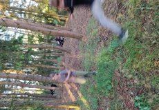 IMG_20220525_194523.jpg IMG_20220525_194523.jpg