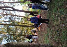 IMG_20220525_194515.jpg IMG_20220525_194515.jpg