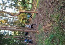 IMG_20220525_194505.jpg IMG_20220525_194505.jpg