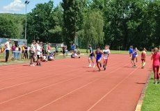 IMG_20220606_123543.jpg IMG_20220606_123543.jpg