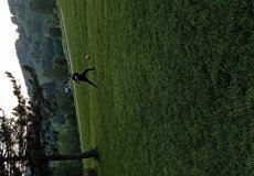 IMG_20220517_201305.jpg IMG_20220517_201305.jpg