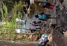 IMG_20220518_125615.jpg IMG_20220518_125615.jpg