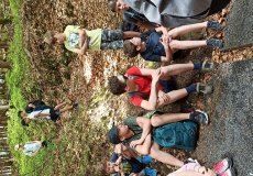 IMG_20220518_150600.jpg IMG_20220518_150600.jpg