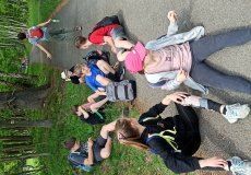 IMG_20220518_153509.jpg IMG_20220518_153509.jpg