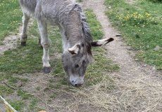 IMG_6455.JPEG IMG_6455.JPEG