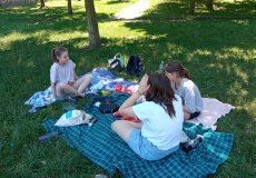 Piknik ve Stromovce Piknik ve Stromovce