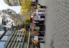 IMG_20221011_113442.jpg IMG_20221011_113442.jpg