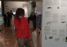 Národní muzeum Národní muzeum