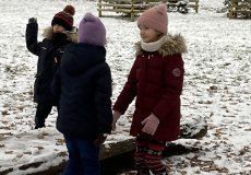 Stromovka 12.2022 Stromovka 12.2022