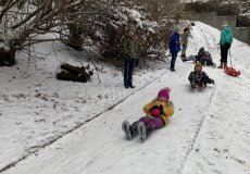IMG_6472.JPEG IMG_6472.JPEG