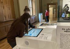 IMG_7874.JPEG IMG_7874.JPEG