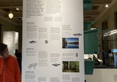 IMG_7875.JPEG IMG_7875.JPEG