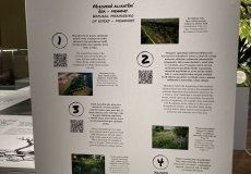 IMG_7877.JPEG IMG_7877.JPEG