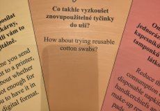 IMG_7896.JPEG IMG_7896.JPEG