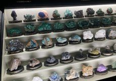 IMG_7903.JPEG IMG_7903.JPEG