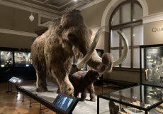 IMG_7905.JPEG IMG_7905.JPEG