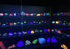 IMG_7907.JPEG IMG_7907.JPEG