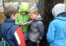 Projektový den Projektový den
