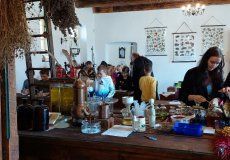 Jarní výlet do alchymistické dílny v Košátkách