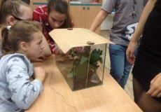 Zabydlování strašilek Zabydlování strašilek